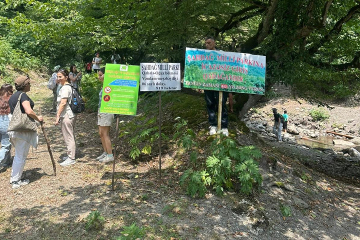 Hiking yürüşü təşkil olunub