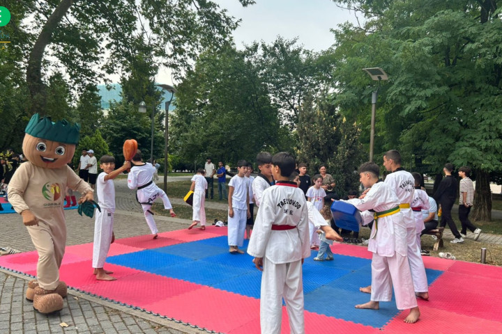Qəbələdə yeniyetmə və gənclər  arasında idman festivalı keçirilib